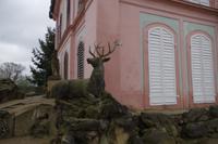 Frühlingswanderung in Moritzburg