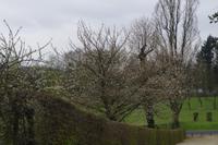 Frühlingswanderung in Moritzburg