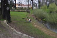 Frühlingswanderung in Moritzburg