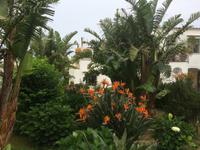 Prächtige Gärten auf dem Weg zum Monte Tiberius