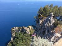 Traumhafte Ausblicke auf Capri