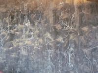 Grand Canyon - Indian Watchtower