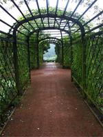 Dornburg. Rokkokogarten3