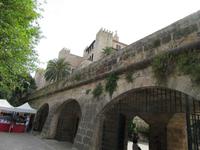Palma (7)