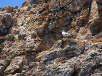 Bootsfahrt Menorca (49)