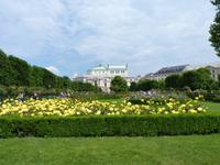 Volkspark