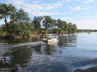 Bootsfahrt auf dem Chobe-River -