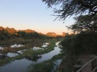 Mogotlho Safari Lodge - Khwai River