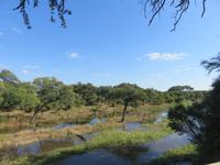 Mogotlho Safari Lodge -  Blick über den Khwai-River