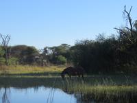 Speedbootfahrt auf dem Thamalakne River