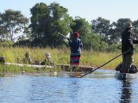 Fahrt mit den Mokoros im Okawango-Delta
