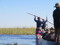 Fahrt mit den Mokoros im Okawango-Delta