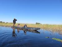Fahrt mit den Mokoros im Okawango-Delta