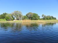 Fahrt mit den Mokoros im Okawango-Delta