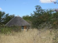 Fahrt nach Nata - Pause in der Planet Baobab Lodge