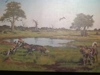 Besuch in der Wildhunde-Auffangstation