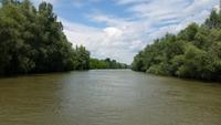 Bootsfahrt durch das Donaudelta
