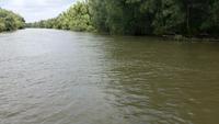 Bootsfahrt durch das Donaudelta