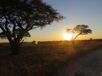 Pirschfahrt im Hwange Nationalpark - Sonnenuntergang