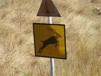 Fahrt nach Vic Falls -