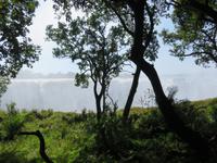 Victoria Wasserfälle