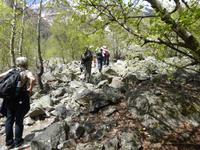 Wanderung zum Chalaadi Gletscher