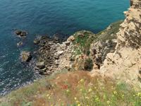 Kap Kaliakra