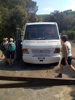 Zum Bus