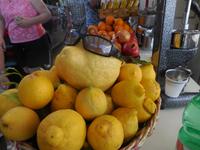 DSCN8546