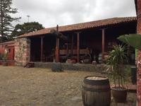 Weinverkostung - Santa Ursula