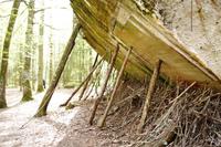 Masuren - Wolfsschanze