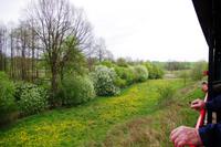 mit dem Bummelzug durch Buckelmasuren