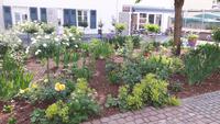 Garten mit Mikwa