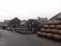 Fässerhof der Springbank-Distillery in Campbeltown