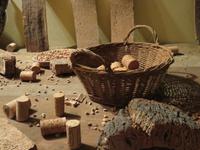 Im Weingut Zonin
