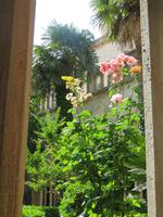 Kreuzgang im Franziskanerkloster in Dubrovnik