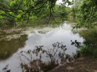 Broceliandewanderung