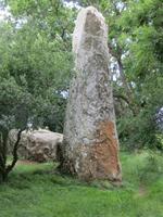 Menhirsteinwanderung nach Erdeven