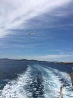 IMG_1895
