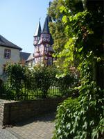 in Rüdesheim