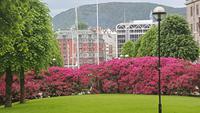 Bergen