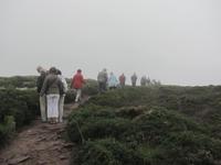 Cap Frehel im Nebel