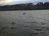 IMG_20170607_220046_3