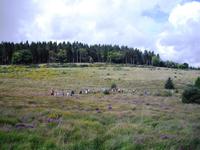 Dartmoor - Wanderung