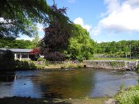 Und immer diese Sonne.....