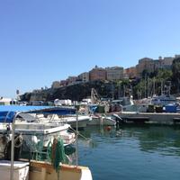 alter Hafen von Bastia
