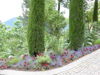05.06.2017 Meran