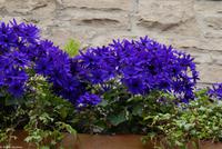 Rundreise Schottland - Eberhardt-Travel - Edinburgh - Royal Mile