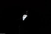 Rundreise Schottland - Eberhardt-Travel - Falkirk Wheel am Union Canal