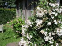 Sissinghurst Castle and Gardens